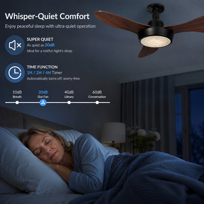 Socket Fan Light with Remote