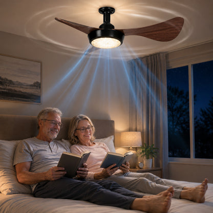 Socket Fan Light with Remote