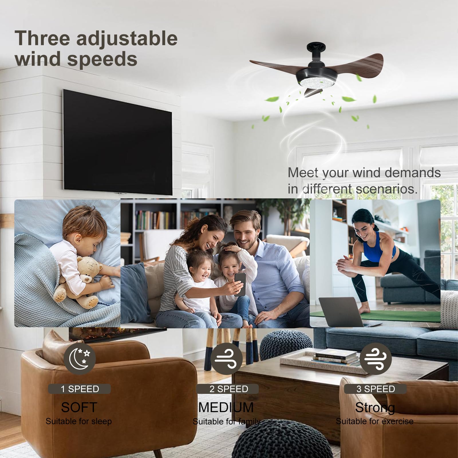Socket Fan Light with Remote