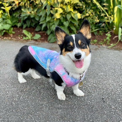 Dog Cooling Vest - SPF 50 UV Sun Protection