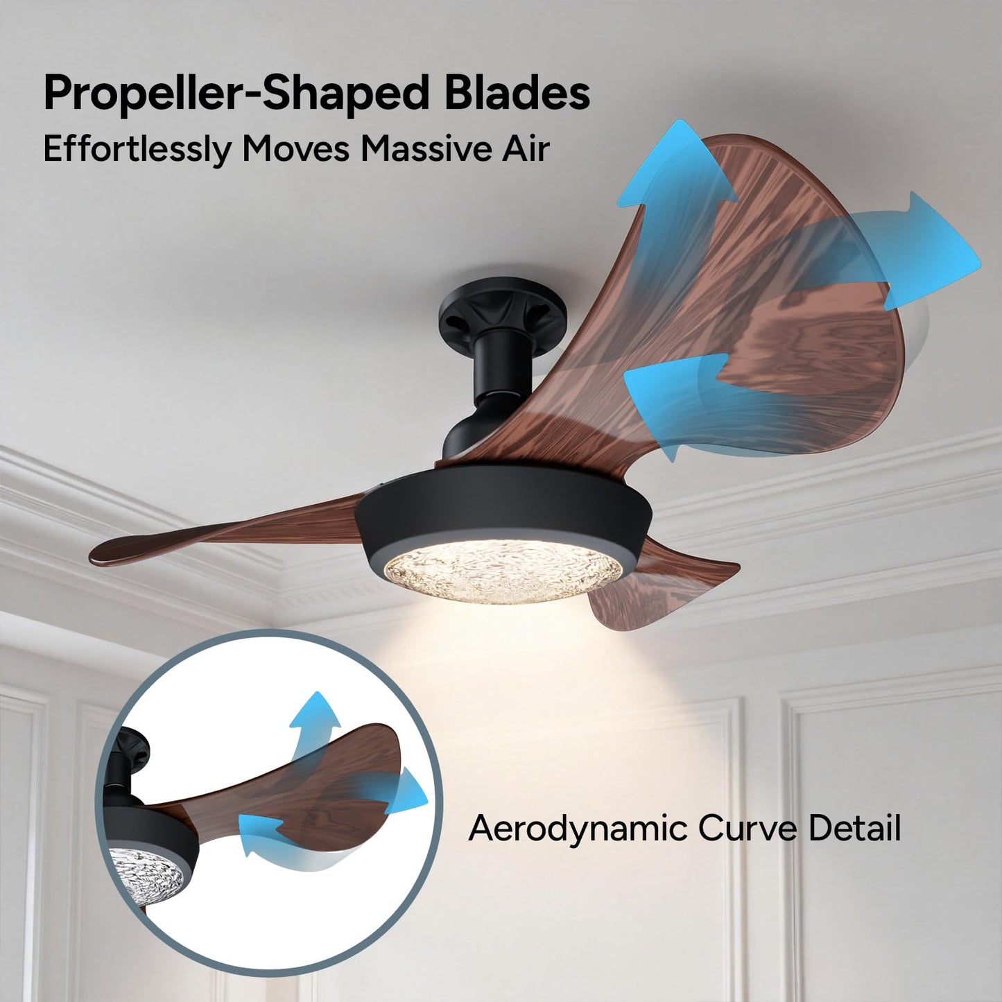 Socket Fan Light with Remote