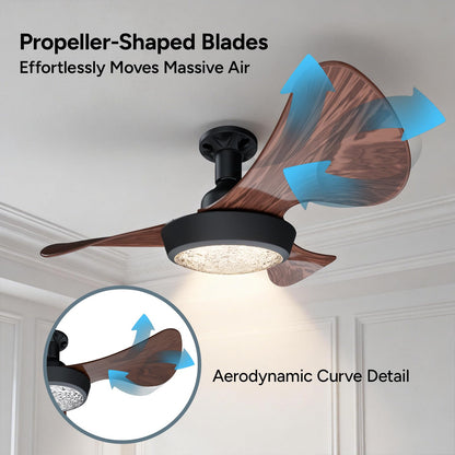 Socket Fan Light with Remote