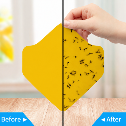 Silent and Safe Mosquito Killer and Fruit Fly Trap