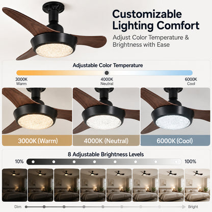 Socket Fan Light with Remote
