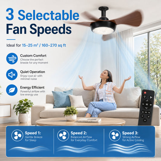 Socket Fan Light with Remote