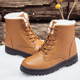 Women's Winter Classic Style Ankle Boots