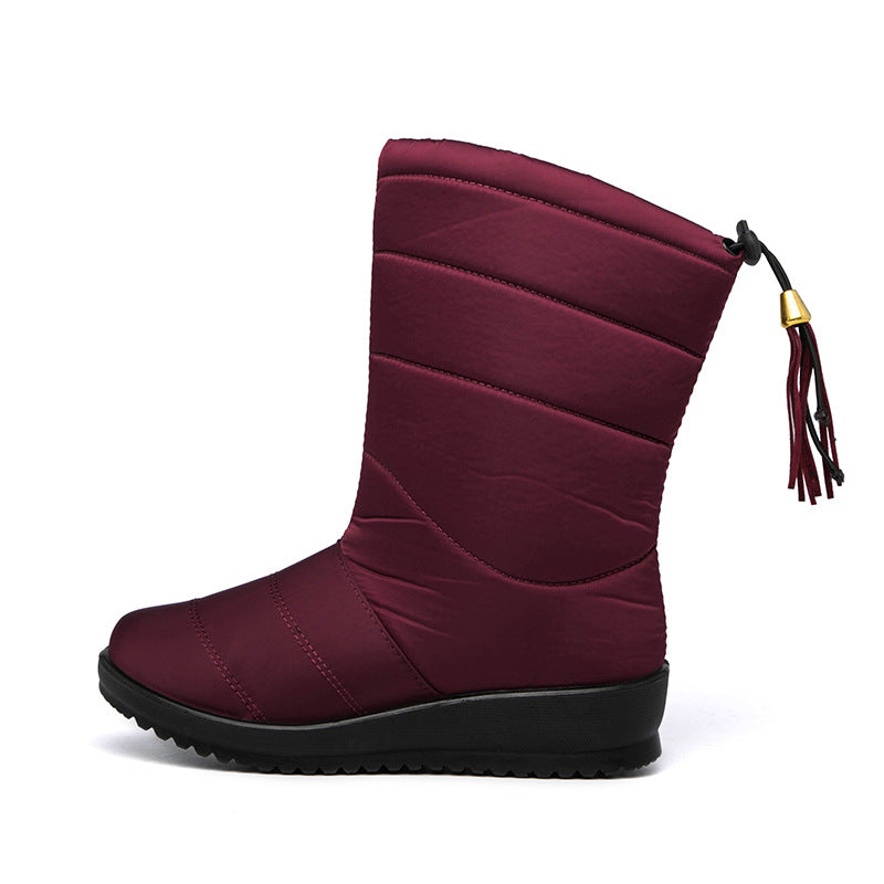 Women's Plush And Thickened Warm Snow Boots Exquisite Tassels